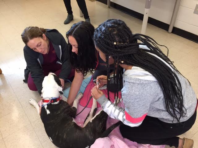 AshevilleCityCTE tweet media