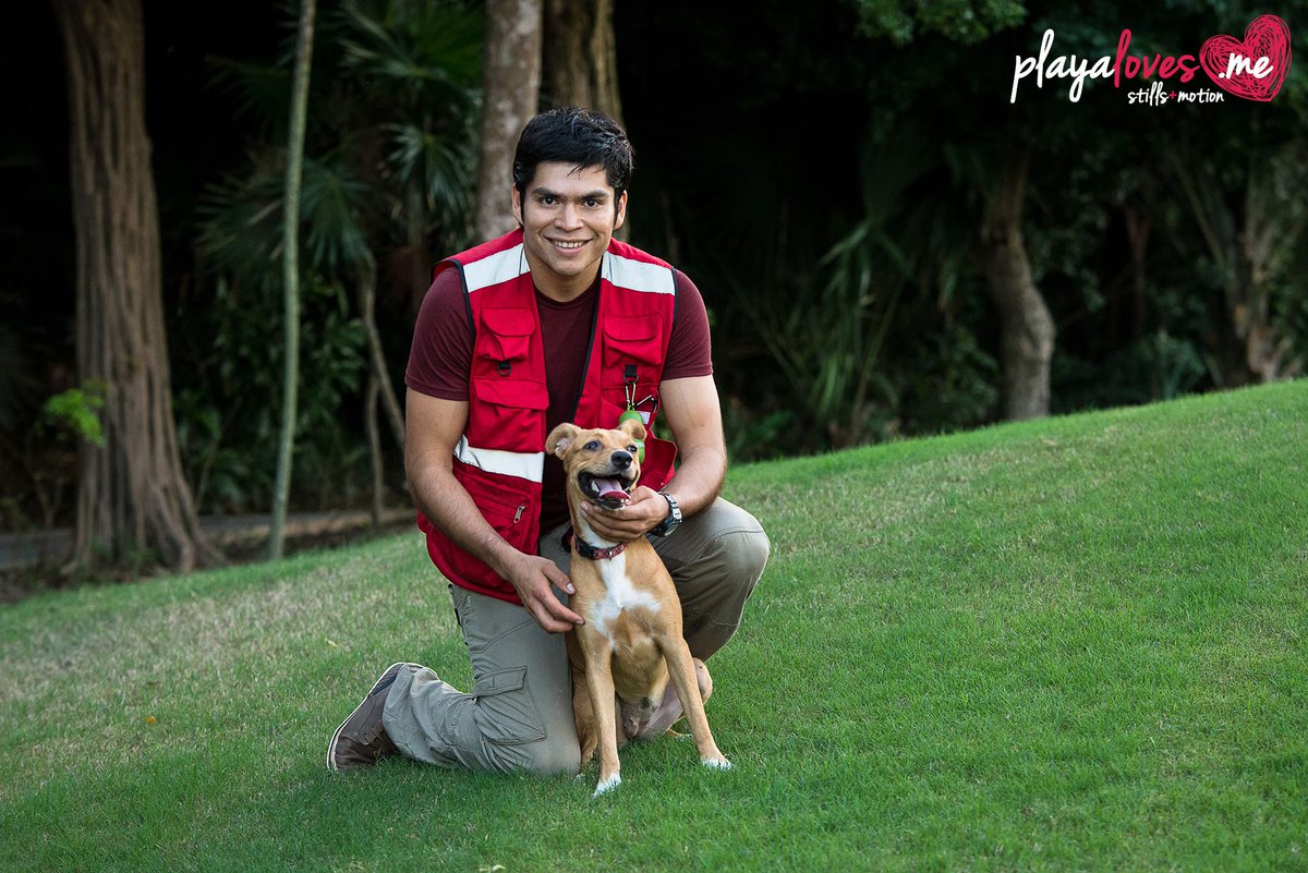 dogwalkershop's tweet photo. Make #DogWalking fun, hassle-free. BIG #Sale,#MultiplePockets,#Clips, #WaterBottlePockets,#ReflectiveStrips @ https://t.co/HdSVjVvGnJ. https://t.co/EBguhFiyBy
