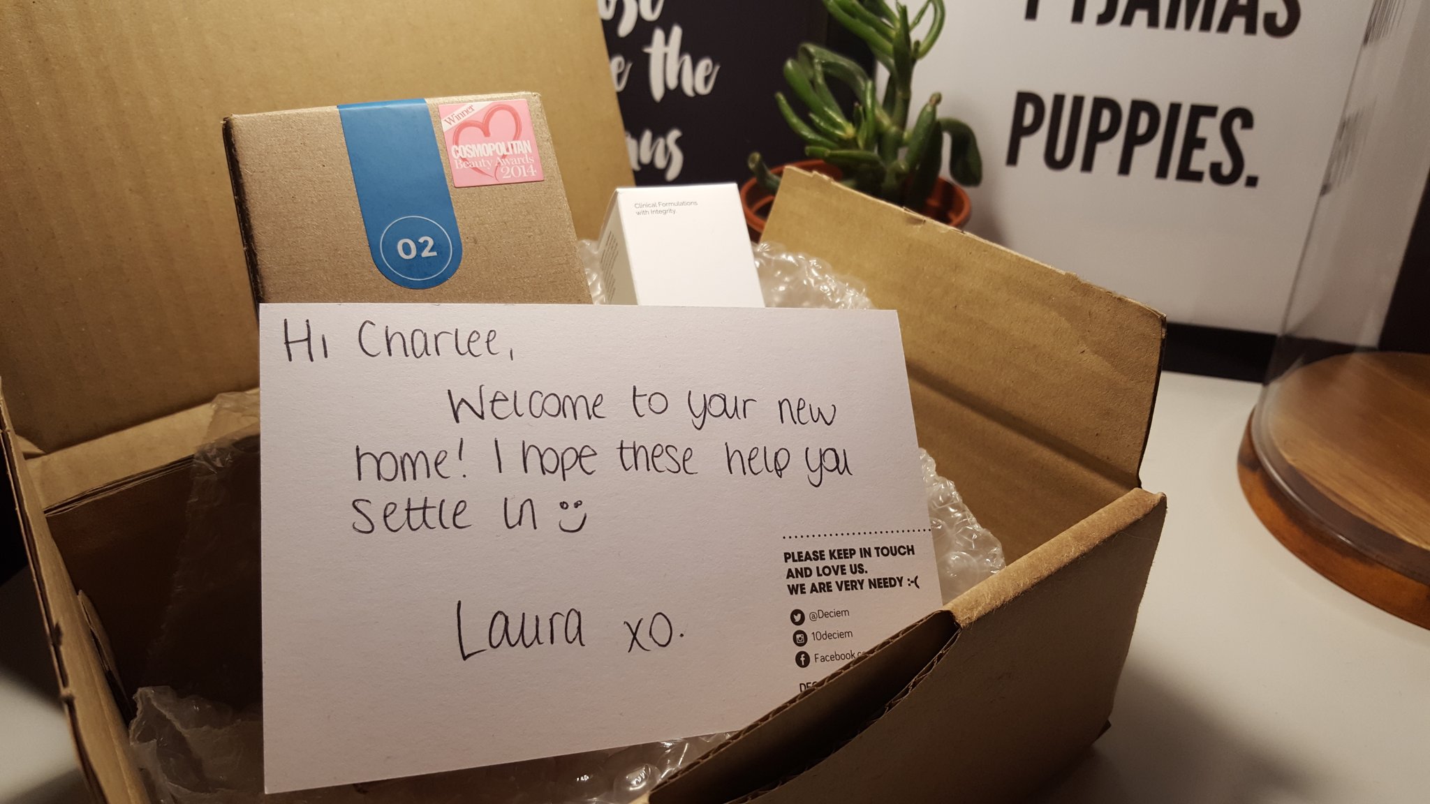 Charlee On Twitter Aren T Deciem The Sweetest Deciem