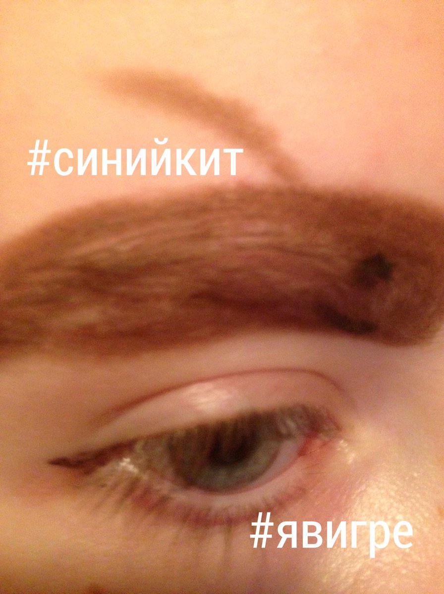 pepetsslozhna's tweet image. #тихийдом
#синийкит 
Короче,собралась с духом и решаюсь сыграть...................