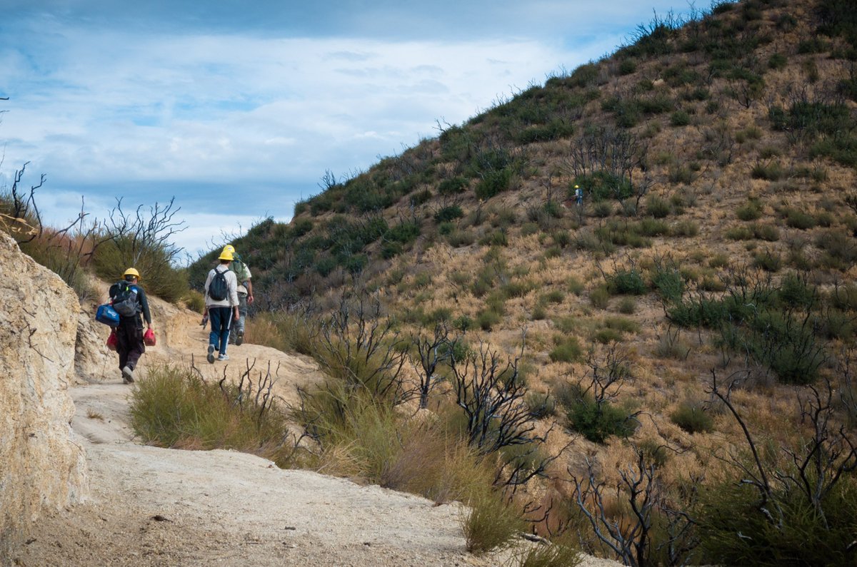PCTAssociation's tweet image. Story time: How the wife of a president helped create the #PacificCrestTrail #PCT pcta.org/2017/wife-pres…
