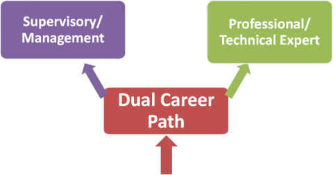 Dual Ladder Career Progression