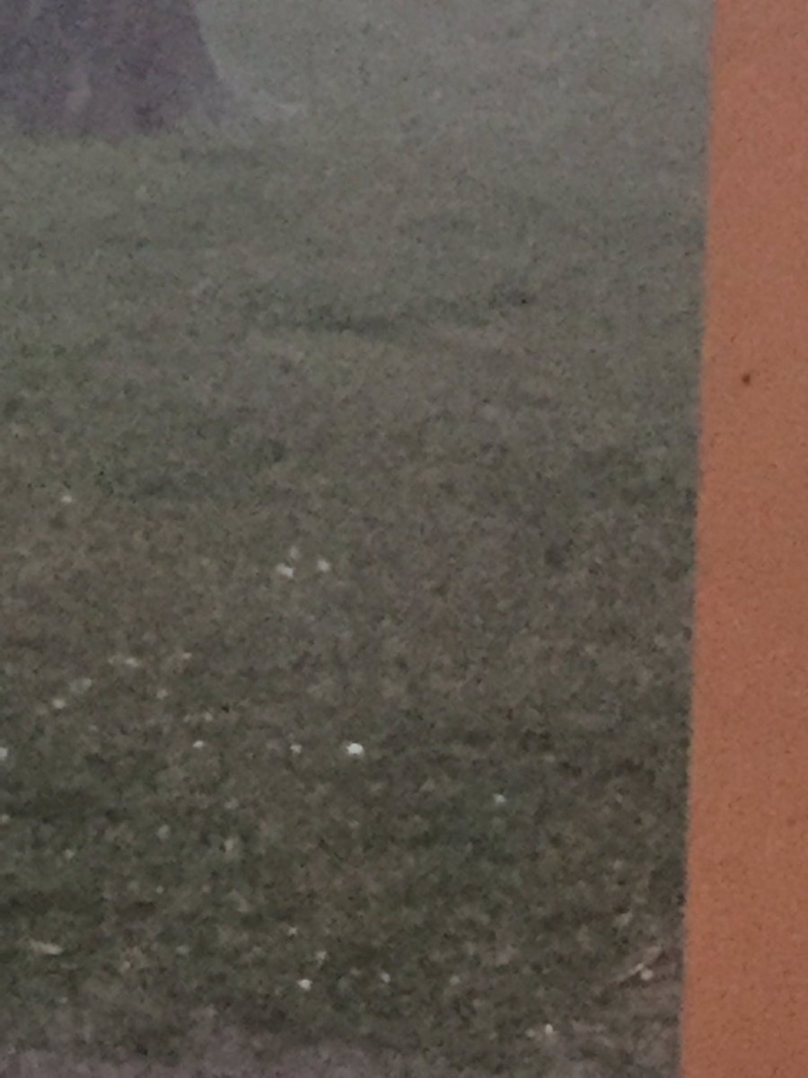 NicholeA72's tweet photo. Large hail from storm at Mayflower. #Beon11 https://t.co/r9vnWXCtfl
