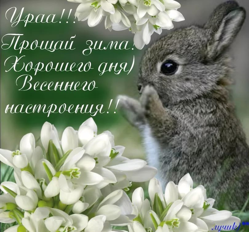 Приколы картинки с днем весны, днем рождения женщине