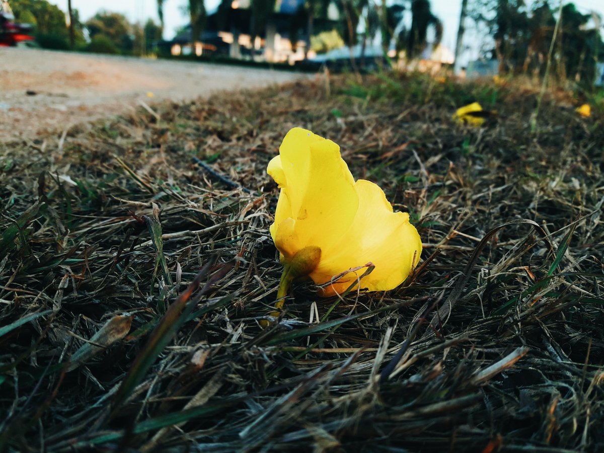 วันนี้ วันนั้น มันไม่เหมือนกัน
#แคปชั่นเด็ด #แคปชั่นวงเหล้า #แคปชั่นเด็ดแคปให้ด้วย #แคปชั่นคําคม #แคปชั่นความรัก