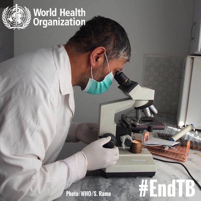 Ver imagem no Twitter Ver imagem no Twitter