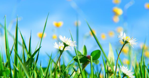 RInnEncinitas's tweet image. The countdown to Spring has started but when will you be going on Spring Break? Call (760) 436-1988 to book today! bit.ly/2mg3h1J