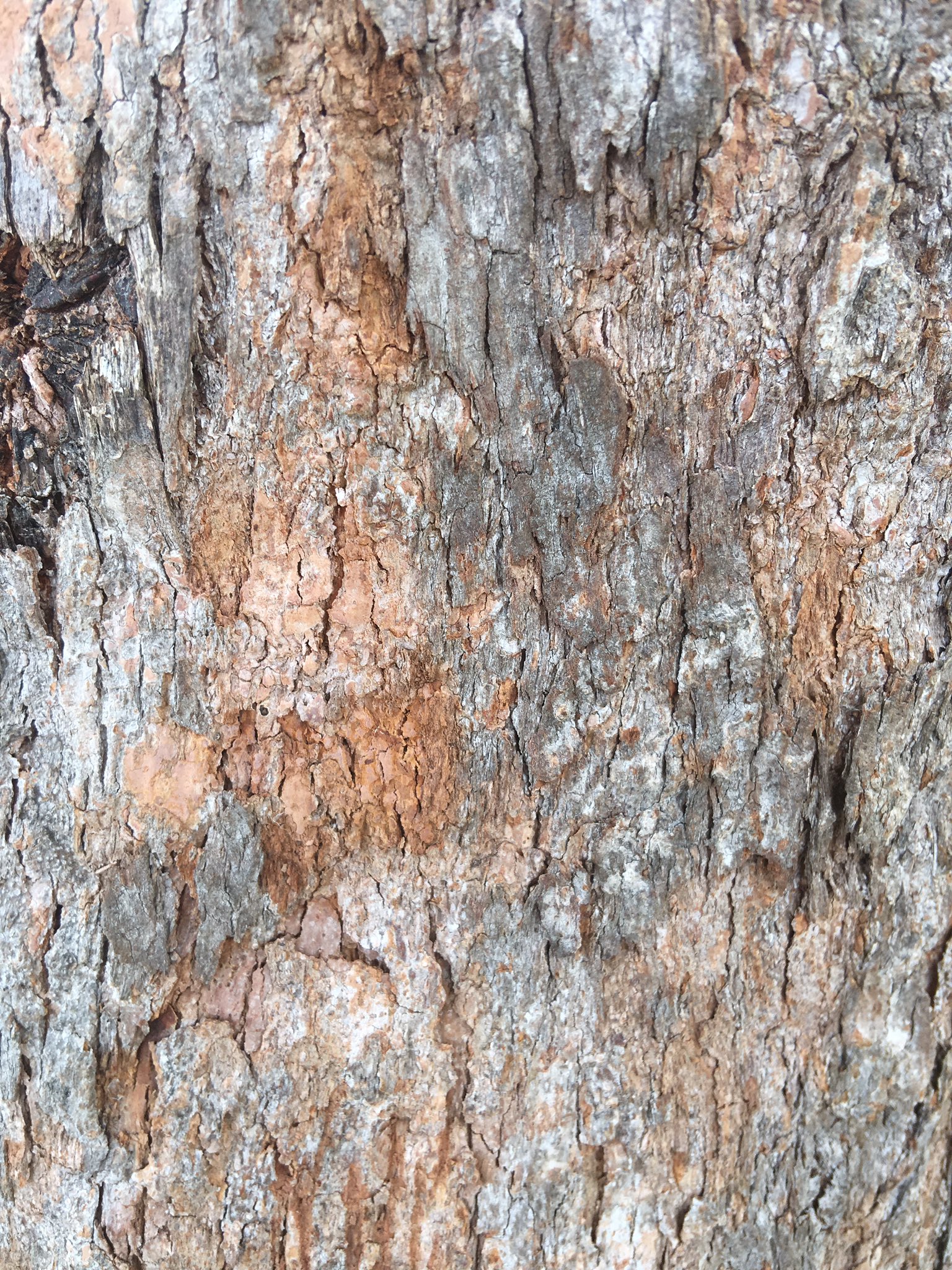 تويتر Jugem T 𓆡作業中 على تويتر テクスチャや背景の下地 クソコラ等ご自由にお使い下さい