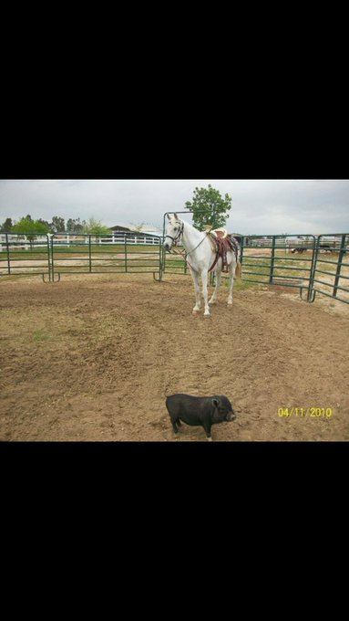 Watch genbxnz♡'s leaked NSFW photo on TwXstars