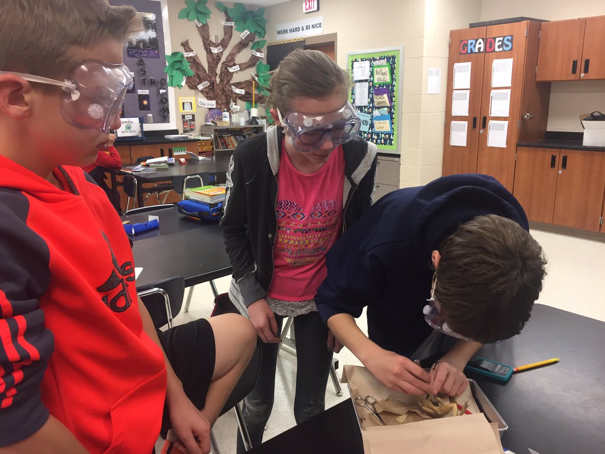 RosieOnTheFly's tweet photo. Frogs, frogs, & more frogs! #Dissection #ThanksKermit #Science #BuffettKnowsScience @BuffettMagnet @TechTolliver #Engagement @NDE_Science https://t.co/odPTd7XWi3