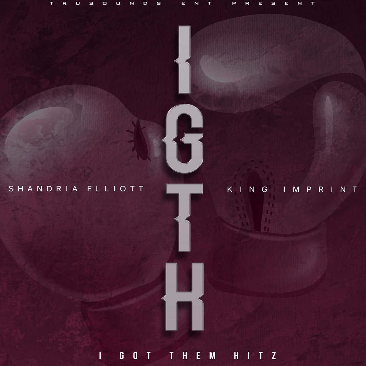 ShandriaElliott's tweet photo. Brand new single drops in 2 hrs on ITunes , Spotify, Google play #IGTH https://t.co/VOchSz9Xbx