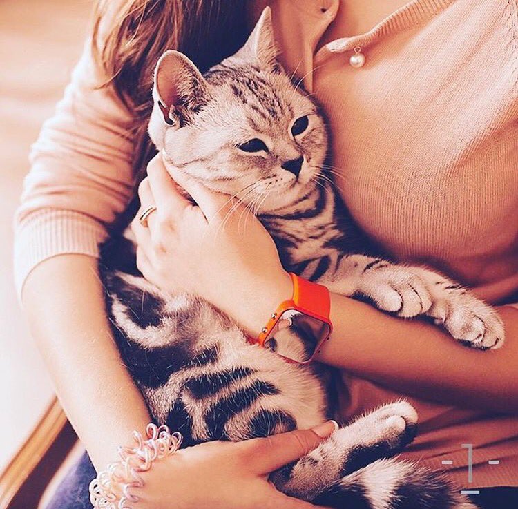 1:Face Watch SA tweet media