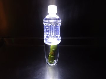 覚えておきたい 警視庁が公式twitterで公開した ペットボトルと懐中電灯でランタン作成 がお役立ち ねとらぼ