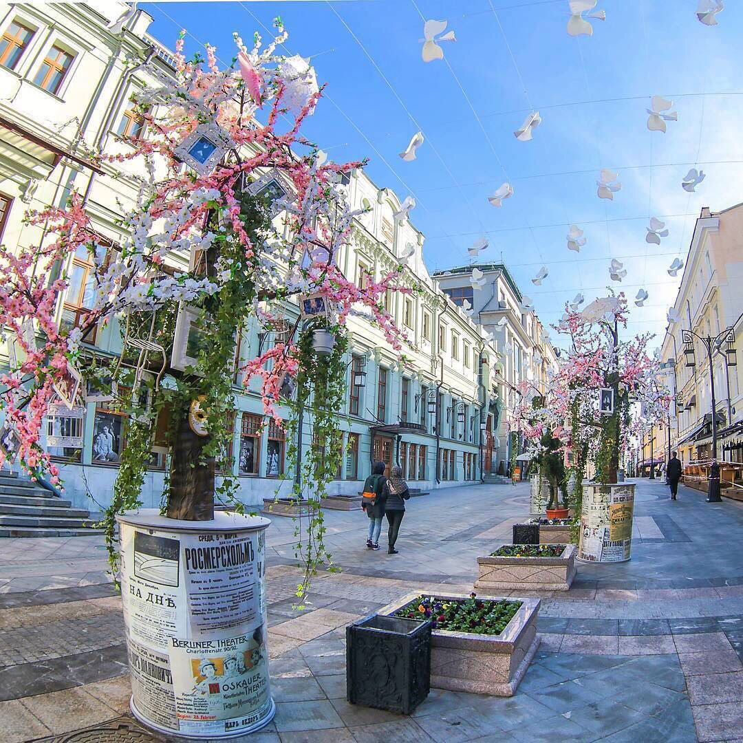 BorisTrofimov1's tweet photo. Весна идёт! Весне дорогу!!! https://t.co/J44AnIE1Pq