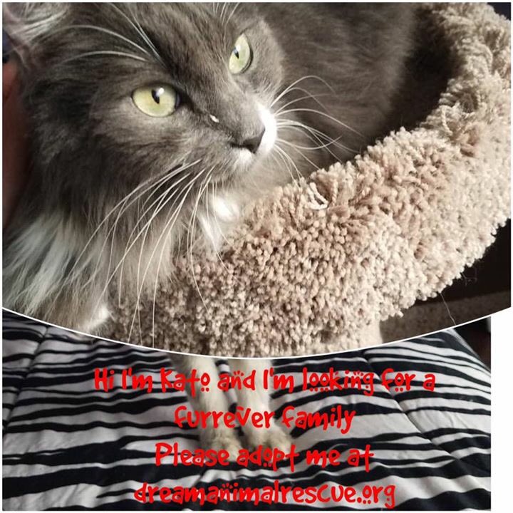 Cindy (Nelson) Rupp (@ocshopgirl) | Twitter