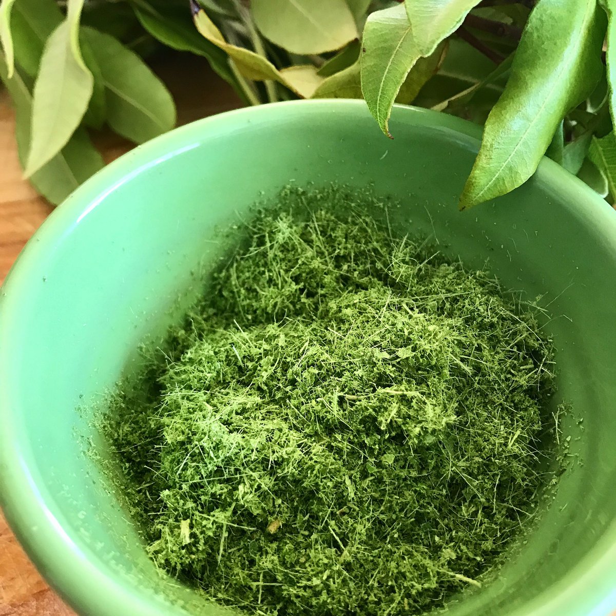 meezonplus's tweet photo. So much green!! Ground Lemon Myrtle. The smell is insane! Ready for some Mayo https://t.co/moZwVRlHIp