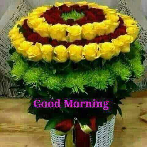 SamirMaji5's tweet image. 