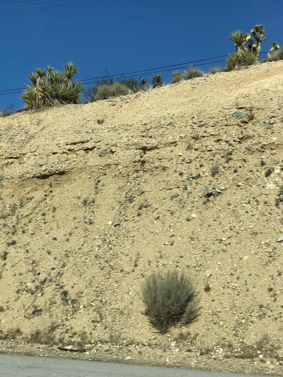 DPatzMLevFanCon's tweet photo. And more desert. #DPatzMLevFanCon2017WestCoast #DayFour #JimInstead https://t.co/ijnkXYQ4tL