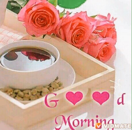 ask7191's tweet image. 