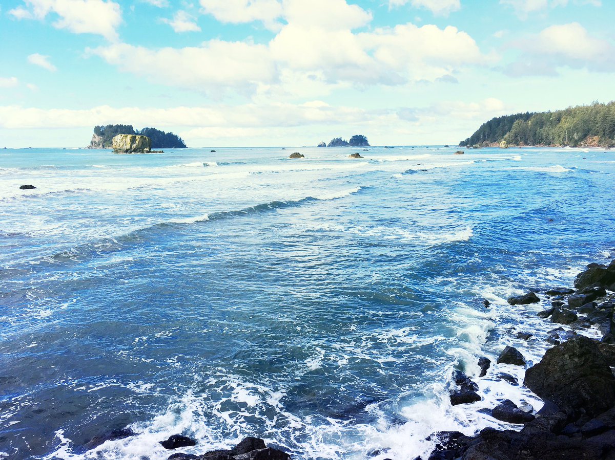 MacyLeeMarquez's tweet photo. #pnw #pnwlife #wanderlust #traveler #hiking #washington #upperleftusa #upperleft #pnwonderland #pacificocean #olympicnationalpark #seastacks https://t.co/FrJZ7izQ7a