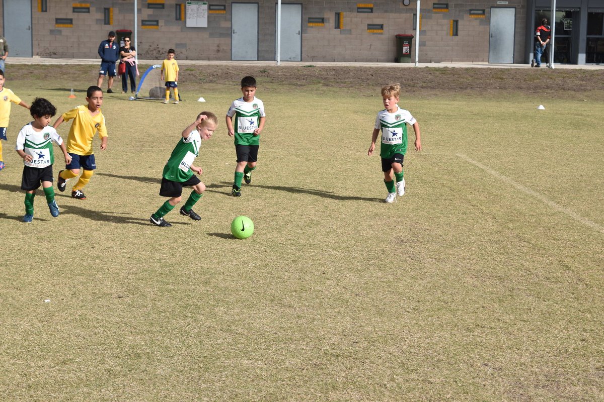 GreenvaleUnited's tweet photo. Under 7 Clinic, registration and training is on Monday the 6th March at 5pm. 

All new and returning players invited. https://t.co/1pDWmCkdsg