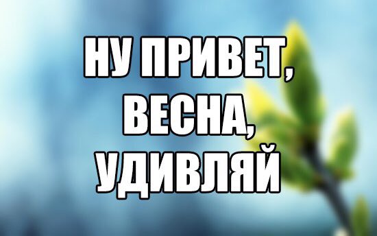 AShutikov's tweet photo. https://t.co/5v5LKqFNLU