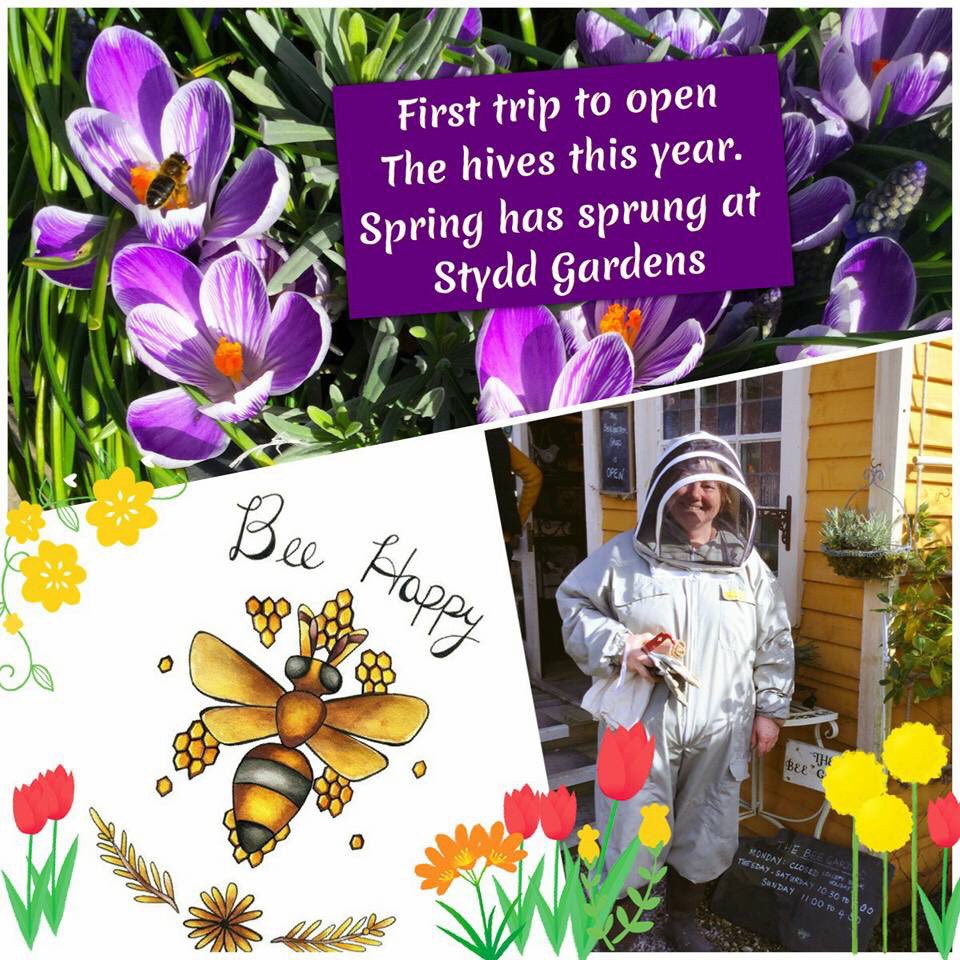 Jenny Strickland tweet media