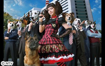 おきた ひろし No 000 多部未華子 多部ちゃん デカワンコ 日暮旅人 多部未華子 多部ちゃん モデル 女優 タレント デカワンコ 旅人 日本テレビ 日テレ Cm