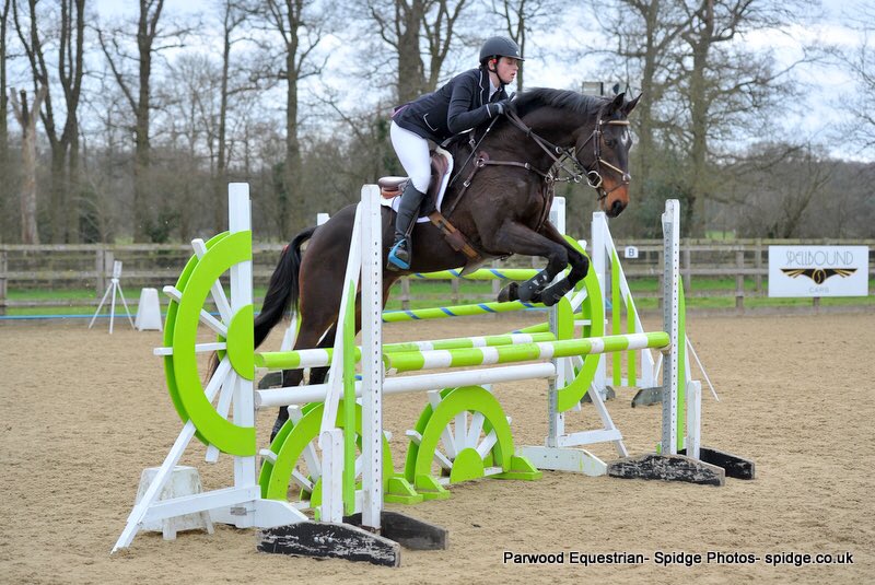 Bella jumping another double clear in the British Novice <a href="/parwoodequest/">Parwood Equestrian</a> yesterday thank you @spidgephotos for the lovely photo