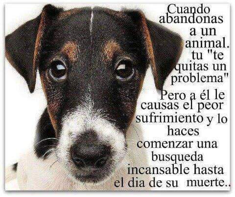 Carmen Terrazas More (@carmente64) on Twitter photo 