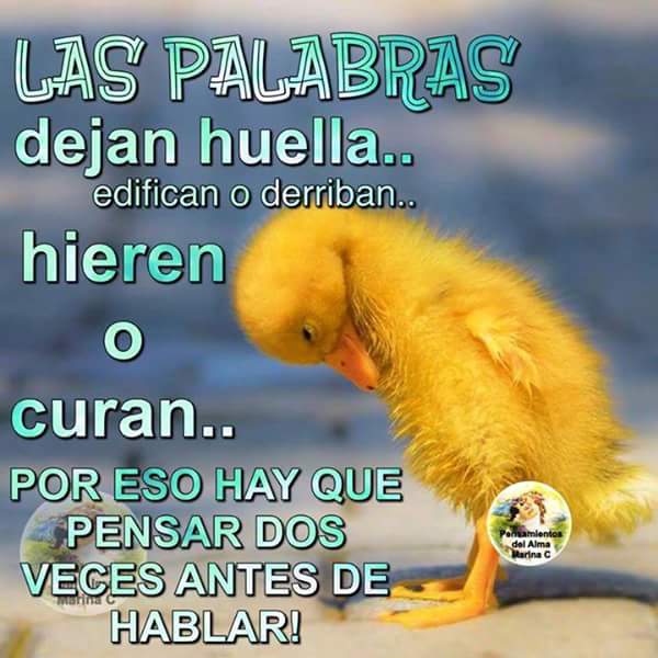 Carmen Terrazas More (@carmente64) on Twitter photo 