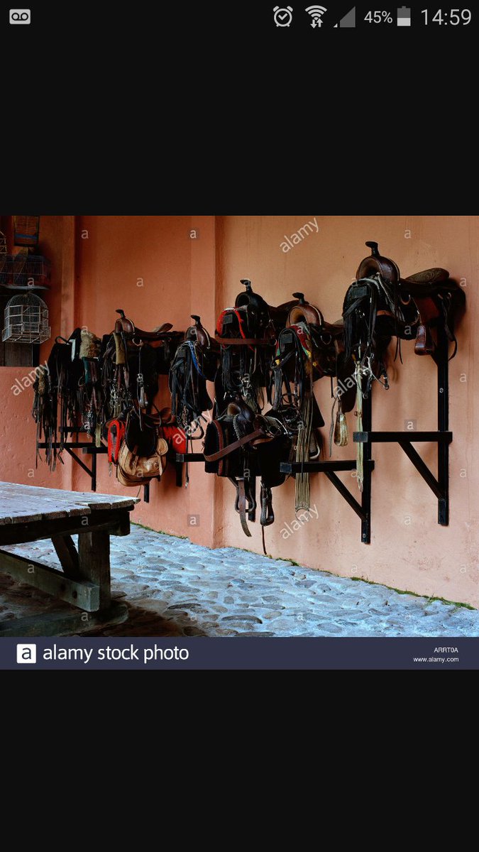 I can't go on hurting your any more l, my reputation has been tarnished I hang my head in shame. Farewell followers  #CheltenhamFestival