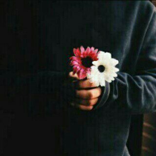 ssio0's tweet photo. ابتسمِ فإنّ دوُاءاليَأس مبسمْك. https://t.co/GNzHKykicu