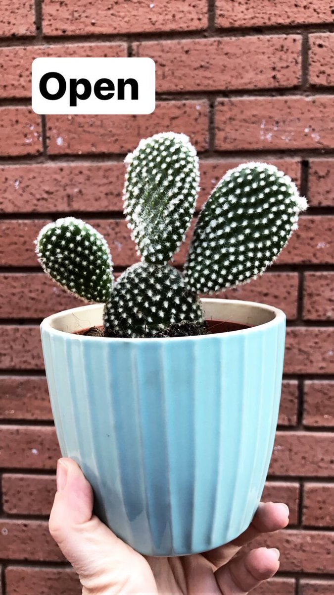PlantShopManchester tweet media