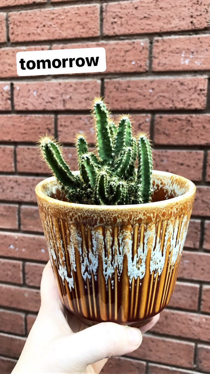 PlantShopManchester tweet media