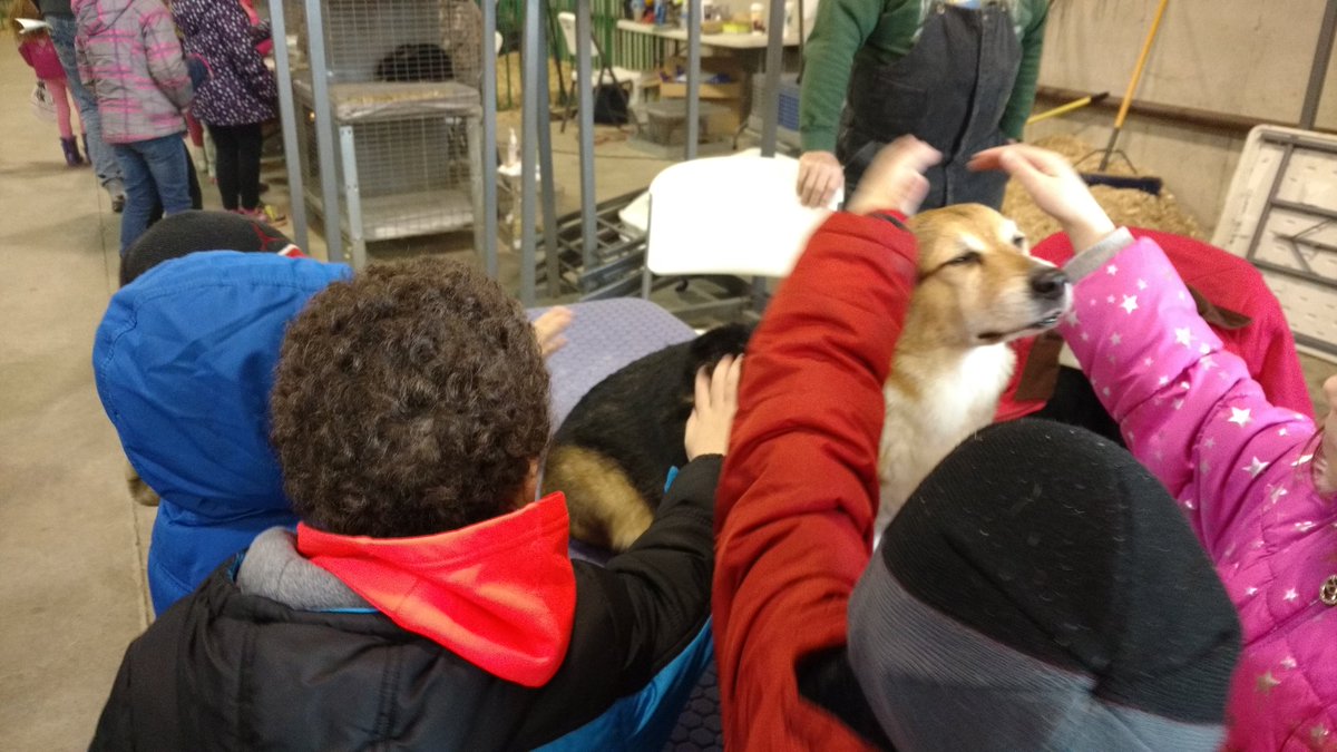 Ashley Harty (@harty_ashley11) on Twitter photo 