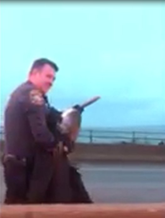 VaDOTHR's tweet photo. #ICYMI Watch Gloucester Co Deputies rescue a bird at the Coleman Bridge >> https://t.co/SClqBqTajL #BirdsOfVDOT https://t.co/RMwcqd2UBN