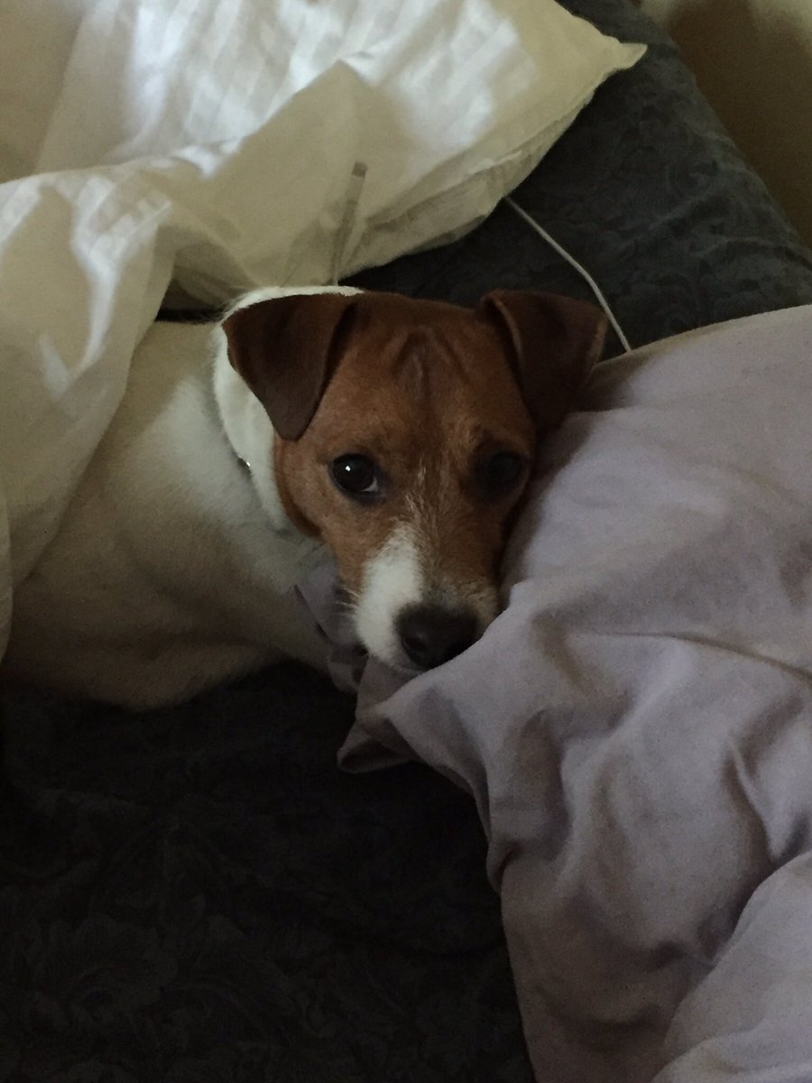 pennyjrt's tweet photo. It's my birthday today https://t.co/p1ERkDm1e7