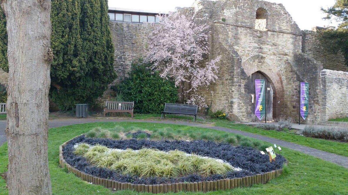 DCILudlow's tweet photo. We 💛 spring time in #Ludlow @LudlowWatch @LudlowCastle1 https://t.co/AZRlljHXss