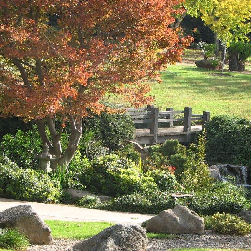 Clark_Bonsai's tweet photo. Spring has arrived in the Central Valley. Enjoy Shinzen Japanese Garden this weekend and the new bonsai exhibit https://t.co/vMrcOBDl3T