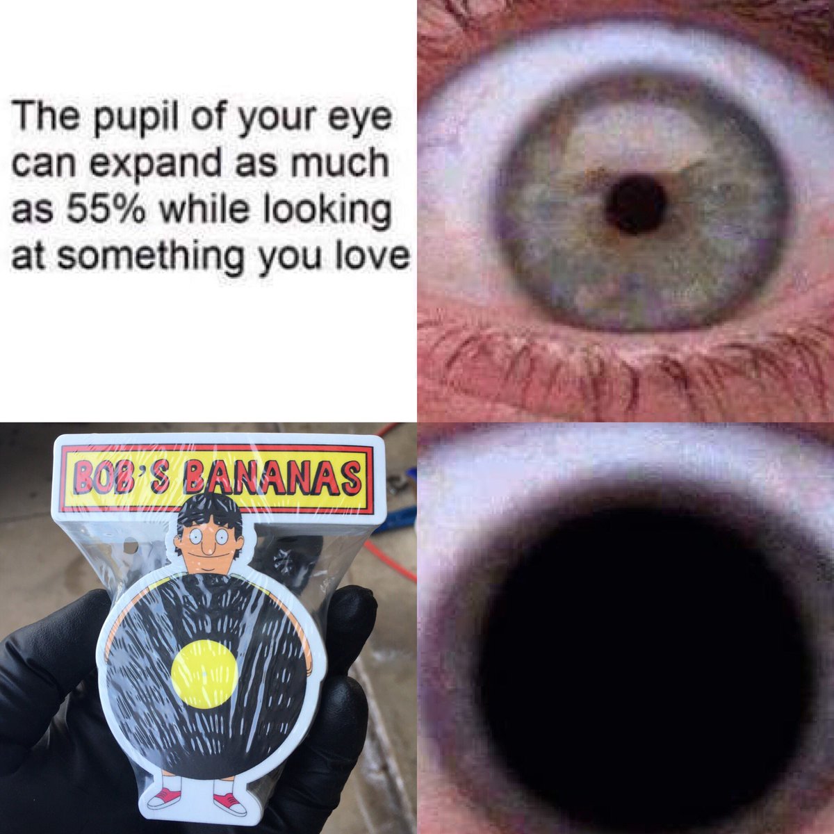 BS005 now shipping from bananastandsound.com
A few more of these special die cut stickers left