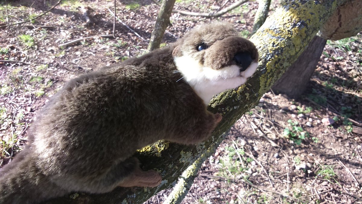 joannetheot's tweet image. #CUOTter enjoying the spring sunshine and meeting students from @WSFC_Official. Hope some of you choose OT @CovUniOT.
