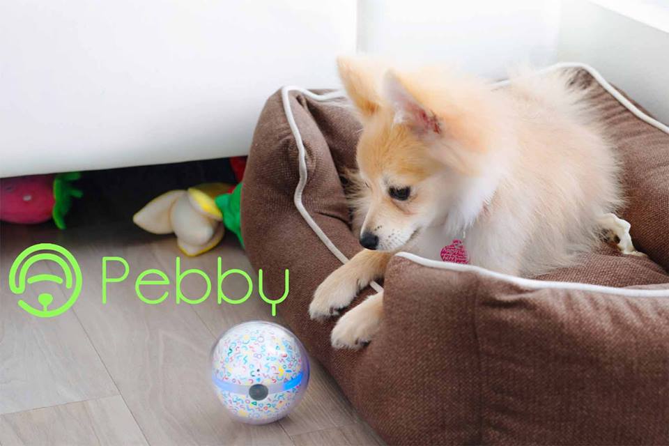 getpebby's tweet photo. Wonder what your pet is doing throughout the day? #getpebby from https://t.co/Vvv2IHFER9! We are over 400% funded on kickstarter! π https://t.co/MMQKUKtYzj