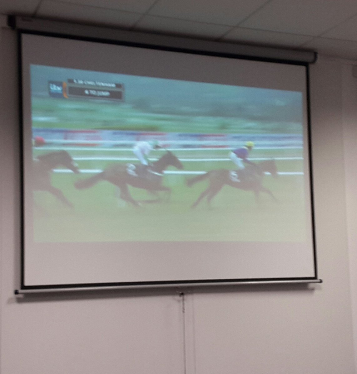 Cracking setup in the office for Cheltenham. Shame nobody can pick a winner! #CheltenhamFestival