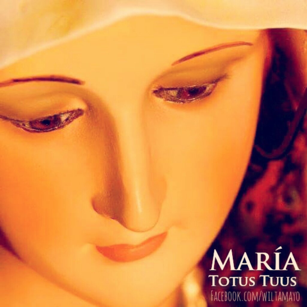 wiltamayo's tweet photo. RT si eres consagrado a Jesús por María https://t.co/SPXu0TIscb