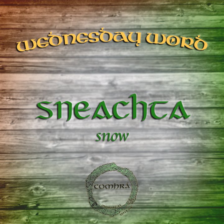 ComhraMontreal's tweet photo. Due to all the snow we've gotten, it's only fitting to make it our Wednesday Word. #learnirish #wordoftheday #Gaeilge #irishlanguage https://t.co/LMeQTHpSbp
