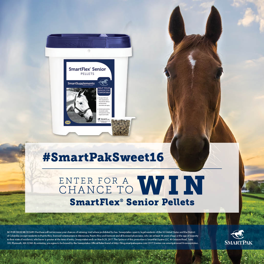 SmartPak's tweet photo. Check out today's #SmartPakSweet16 featured prize, then fill out the entry form for the chance to win it: https://t.co/m7p7yHBVQy https://t.co/XIc6vX6Gpx