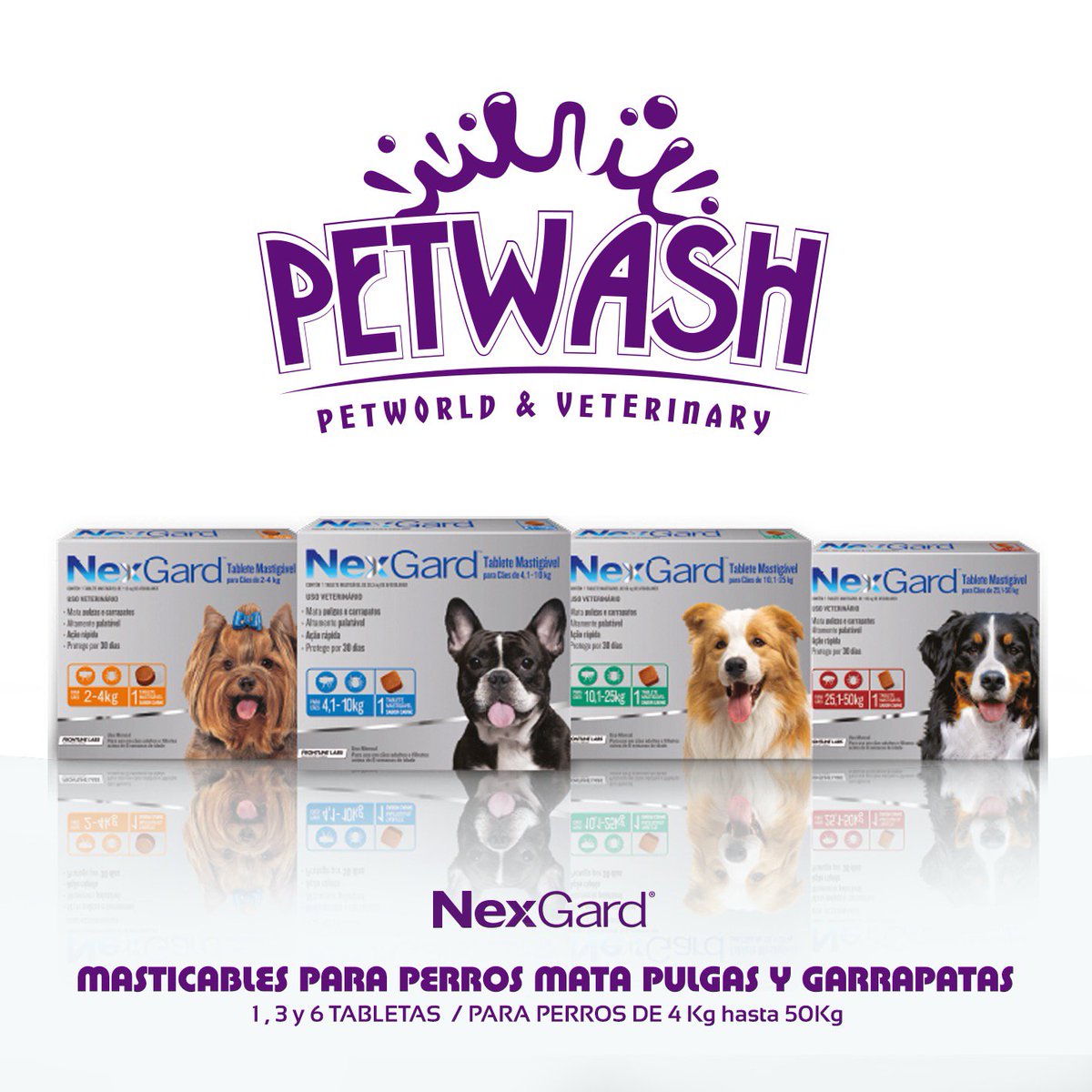 dogtoraflacaiqq's tweet photo. #Nexgard® #Masticable #Control #Garrapatas #Pulgas #Perros
#clinica #veterinaria #petwash #dogwash #petshop #iquique #tarapaca #chile https://t.co/68jaBMZF7P