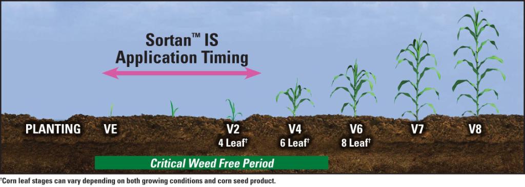 PioneerSeedsCA's tweet photo. Newly registered DuPont™ Sortan™ IS is a powerful corn herbicide that can be applied from pre-emergence to the V3 Stage https://t.co/PwzPxcyDIy