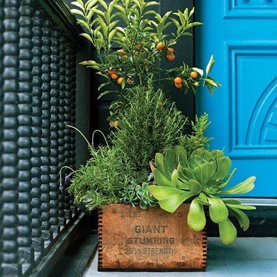vcreekgarden's tweet photo. Rustic Planter Design for Green Plants - https://t.co/g5goSS1BpY
#BoxPlanter #Repurposed #Vintage https://t.co/j9oeOT7bOl